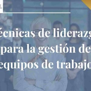 Técnicas de liderazgo para la gestión de equipos de trabajo E learning.